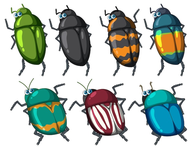 Conjunto de personaje de dibujos animados de escarabajo