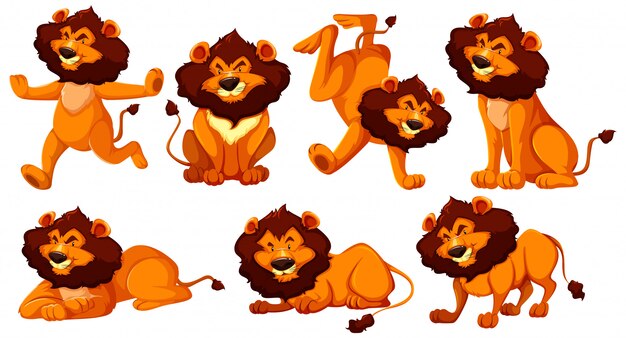Conjunto de personaje de dibujos animados de León