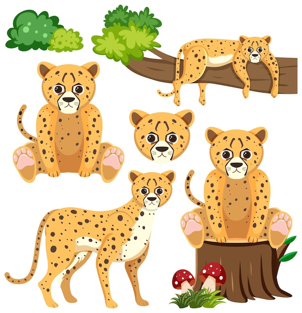 Conjunto de personaje de dibujos animados lindo guepardo