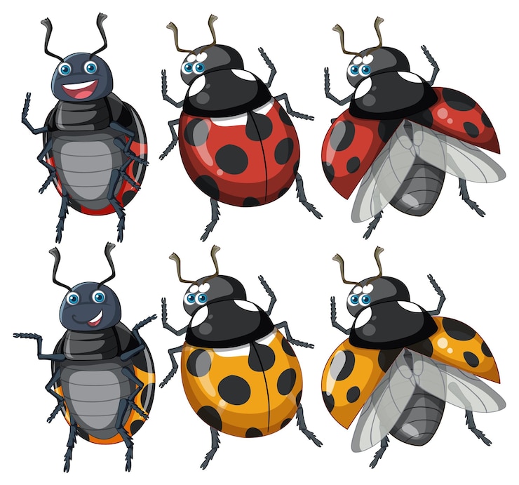 Vector gratuito conjunto de personaje de dibujos animados de mariquita