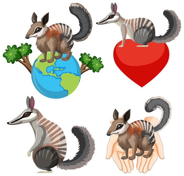 Conjunto de personaje de dibujos animados numbat