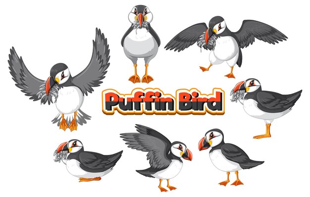 Conjunto de personaje de dibujos animados de pájaro frailecillo en diferentes poses