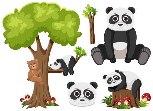 Conjunto de personaje de dibujos animados panda