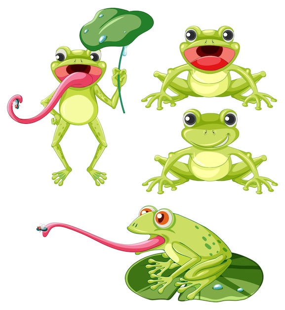 Conjunto de personaje de dibujos animados de rana verde