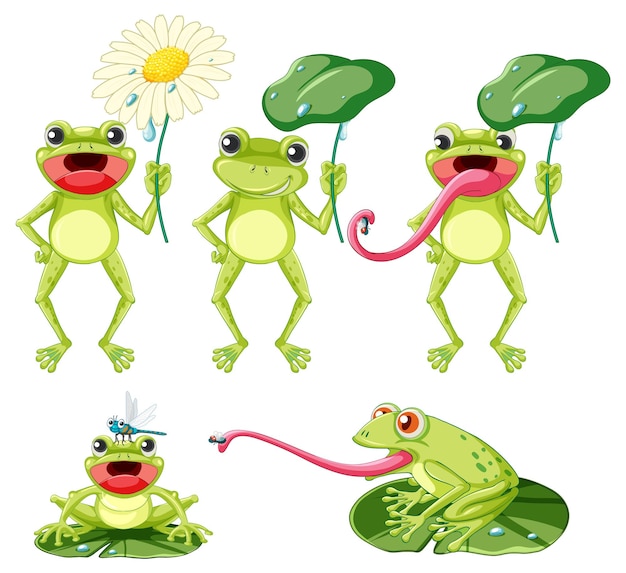 Conjunto de personaje de dibujos animados de rana verde