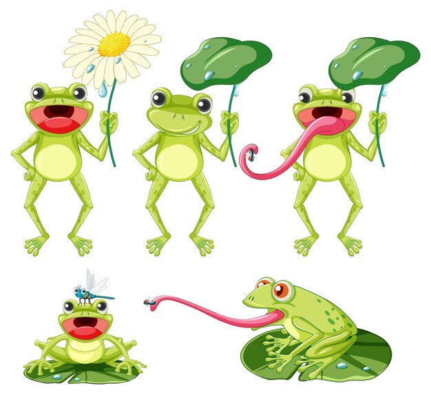 Conjunto de personaje de dibujos animados de rana verde