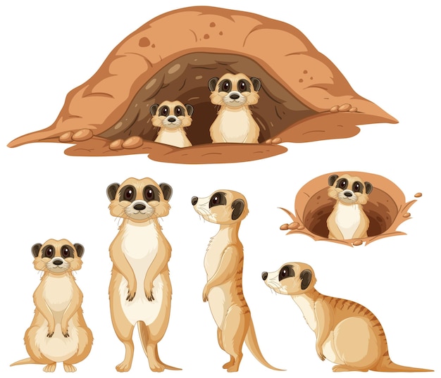 Conjunto de personaje de dibujos animados suricata