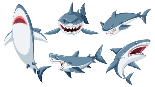 Conjunto de personaje de dibujos animados de tiburón
