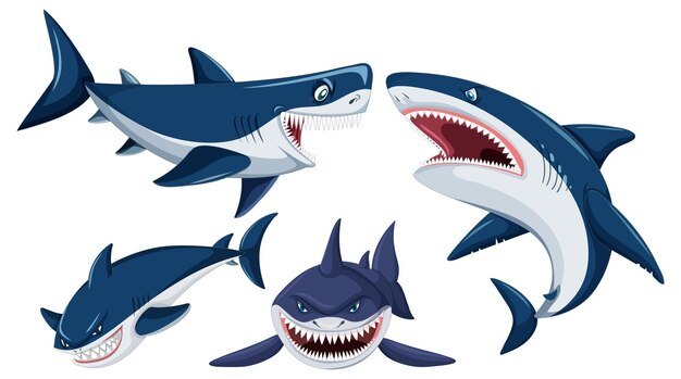 Conjunto de personaje de dibujos animados de tiburón