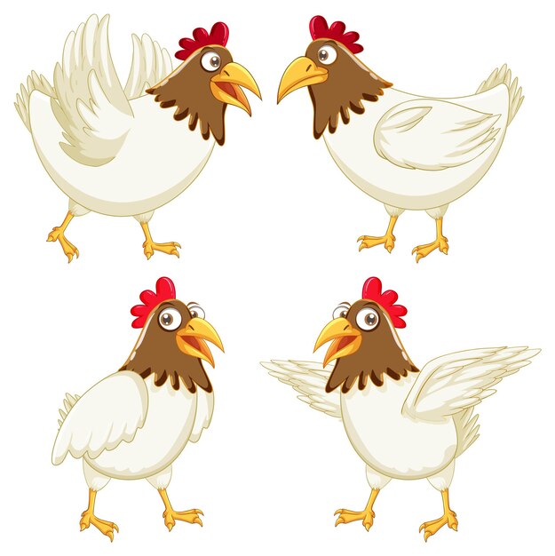 Conjunto de personajes de dibujos animados de pollo