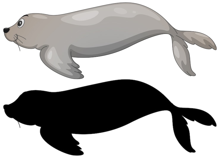 Vector gratuito conjunto de personajes de leones marinos y su silueta en blanco