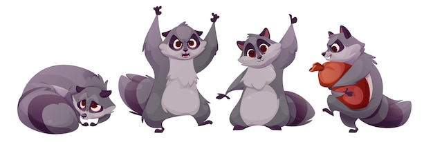 Conjunto de personajes de mapaches lindos