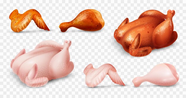 Conjunto de piezas de carne cruda y pollo frito realista aislado en la ilustración de vector de fondo transparente
