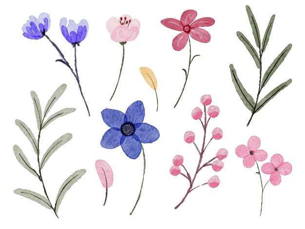 Conjunto de piezas separadas y unidas a un hermoso ramo de flores en estilo de colores de agua en la ilustración de vector plano de fondo blanco