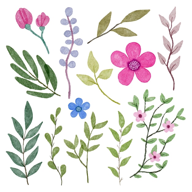 Conjunto de piezas separadas y unidas a un hermoso ramo de flores en estilo de colores de agua en la ilustración de vector plano de fondo blanco
