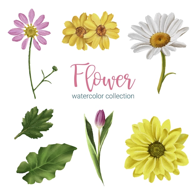 Conjunto de piezas separadas y unidas a un hermoso ramo de flores en estilo de colores de agua en la ilustración de vector plano de fondo blanco