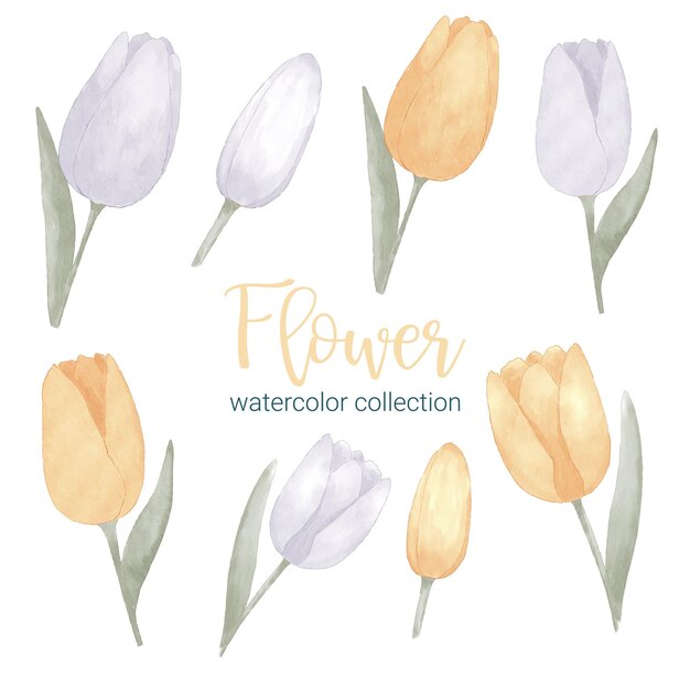 Conjunto de piezas separadas y unidas a un hermoso ramo de flores en estilo de colores de agua en la ilustración de vector plano de fondo blanco