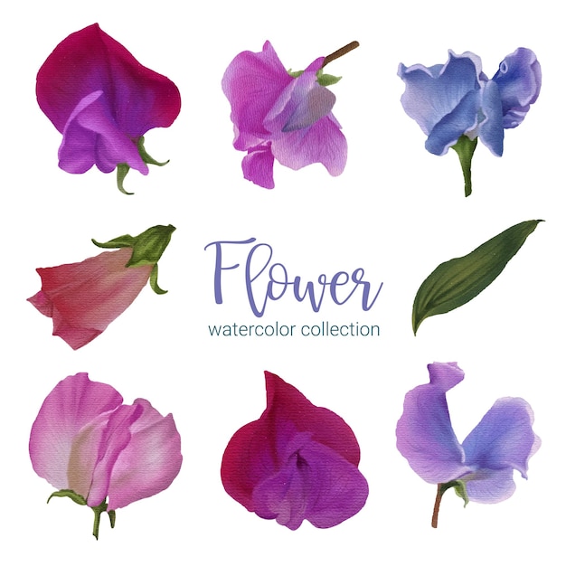 Conjunto de piezas separadas y unidas a un hermoso ramo de flores en estilo de colores de agua en la ilustración de vector plano de fondo blanco