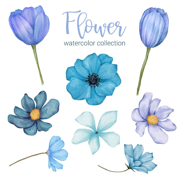 Conjunto de piezas separadas y unidas a un hermoso ramo de flores en estilo de colores de agua en la ilustración de vector plano de fondo blanco