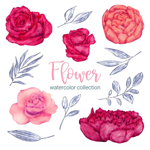 Conjunto de piezas separadas y unidas a un hermoso ramo de flores en estilo de colores de agua en la ilustración de vector plano de fondo blanco