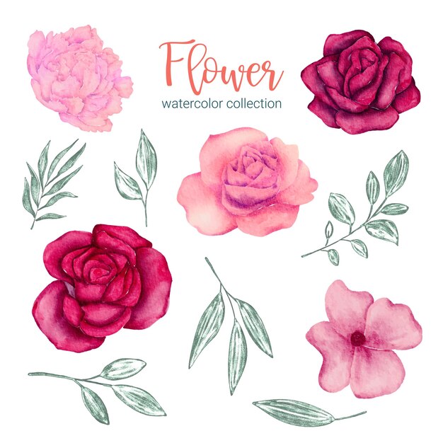 Conjunto de piezas separadas y unidas a un hermoso ramo de flores en estilo de colores de agua en la ilustración de vector plano de fondo blanco