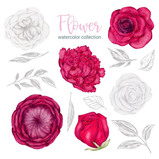 Conjunto de piezas separadas y unidas a un hermoso ramo de flores en estilo de colores de agua en la ilustración de vector plano de fondo blanco