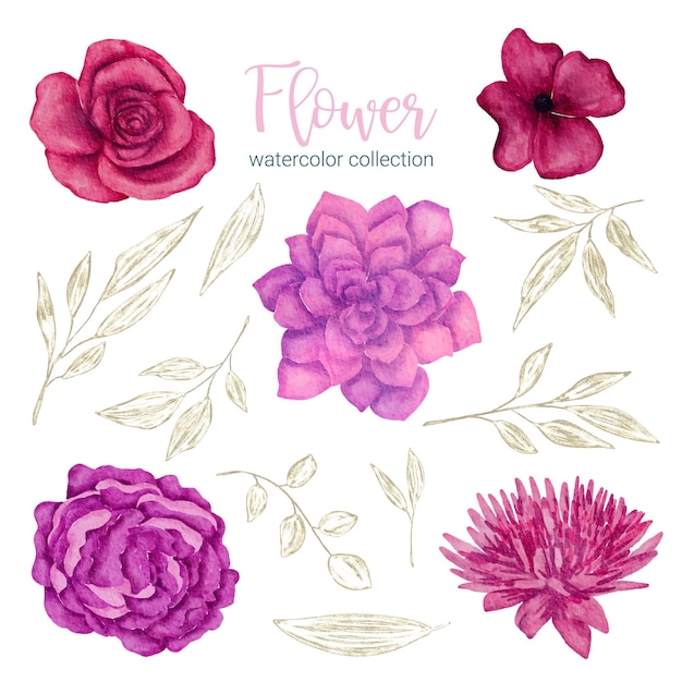 Conjunto de piezas separadas y unidas a un hermoso ramo de flores en estilo de colores de agua en la ilustración de vector plano de fondo blanco