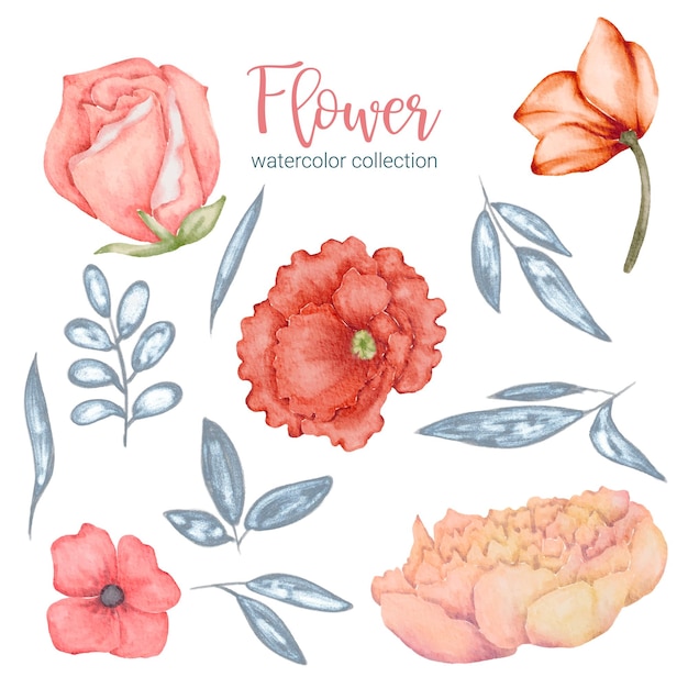 Conjunto de piezas separadas y unidas a un hermoso ramo de flores en estilo de colores de agua en la ilustración de vector plano de fondo blanco