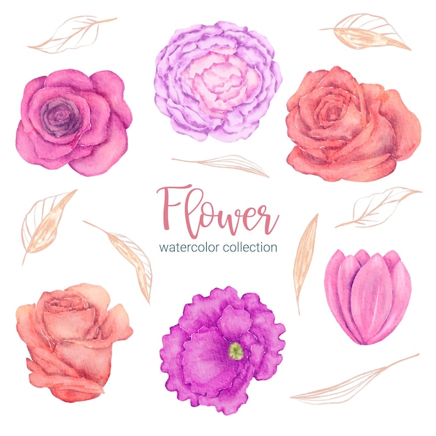 Conjunto de piezas separadas y unidas a un hermoso ramo de flores en estilo de colores de agua en la ilustración de vector plano de fondo blanco