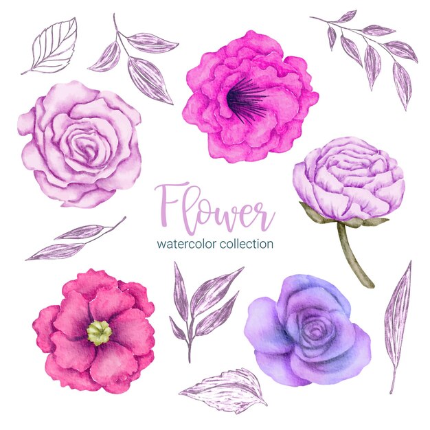 Conjunto de piezas separadas y unidas a un hermoso ramo de flores en estilo de colores de agua en la ilustración de vector plano de fondo blanco