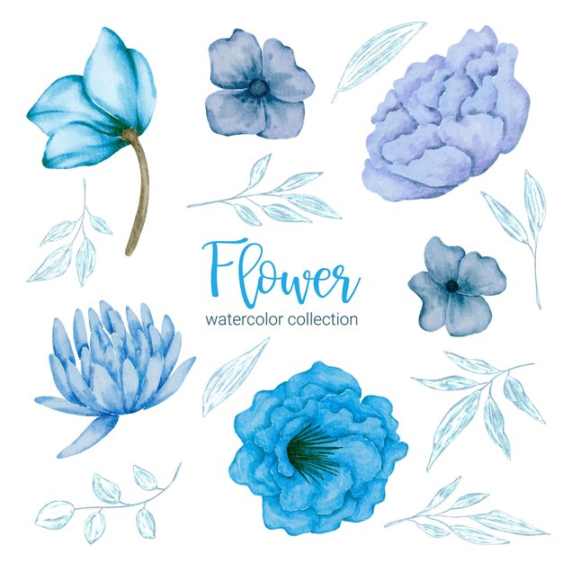 Conjunto de piezas separadas y unidas a un hermoso ramo de flores en estilo de colores de agua en la ilustración de vector plano de fondo blanco