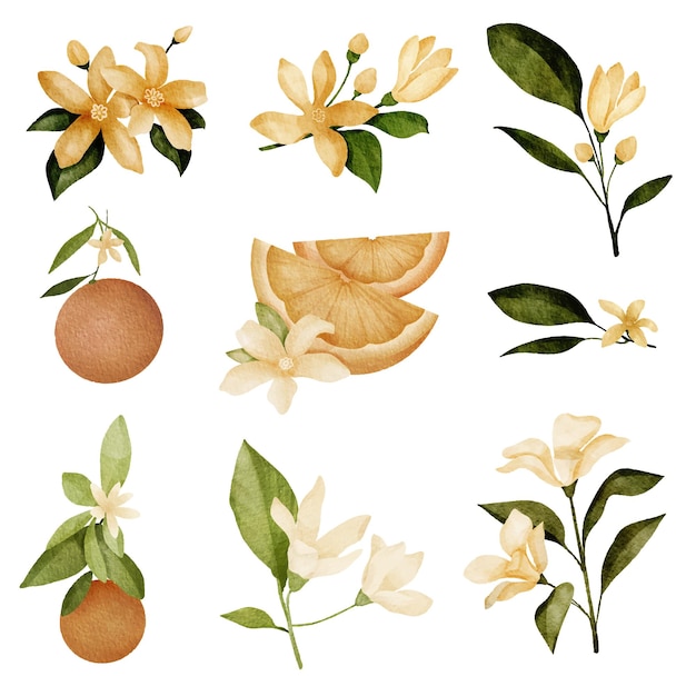 Conjunto de piezas separadas y unidas a un hermoso ramo de flores en estilo de colores de agua en la ilustración de vector plano de fondo blanco