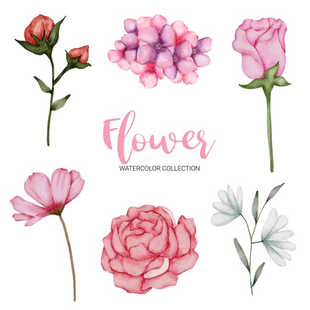 Conjunto de piezas separadas y unir a un hermoso ramo de flores en estilo acuarela