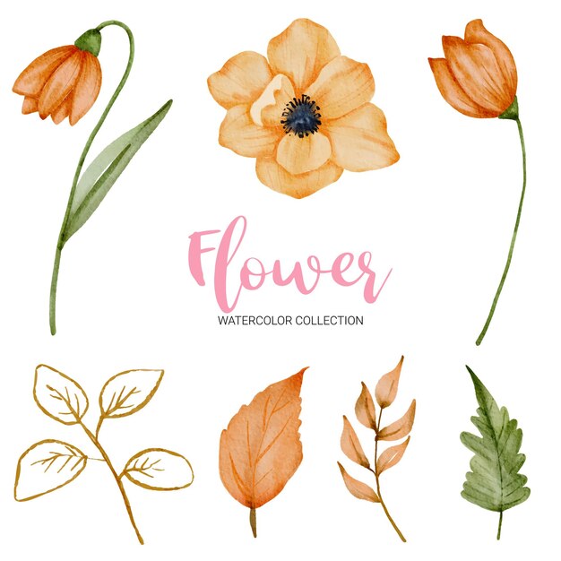 Conjunto de piezas separadas y unir a un hermoso ramo de flores en estilo acuarela