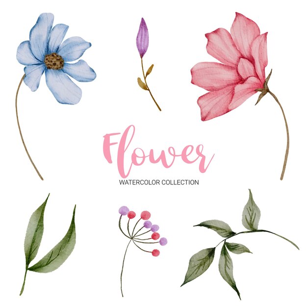 Conjunto de piezas separadas y unir a un hermoso ramo de flores en estilo acuarela