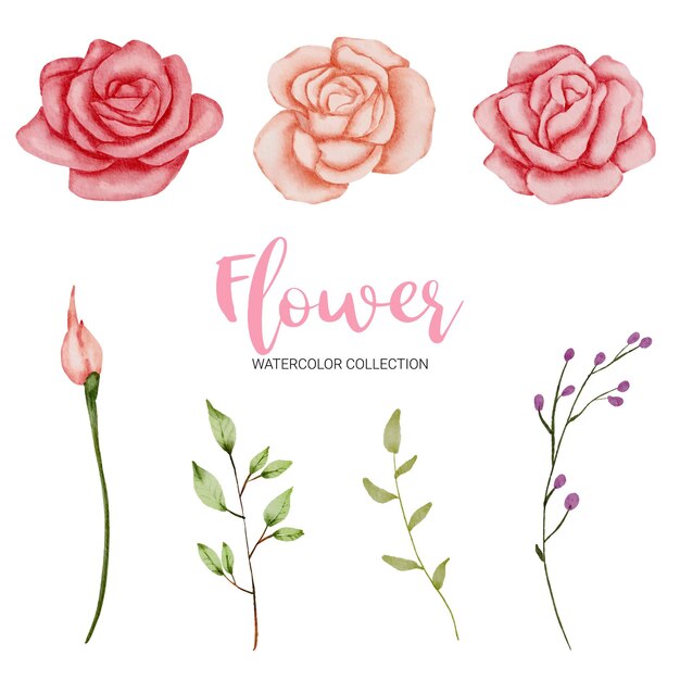 Conjunto de piezas separadas y unir a un hermoso ramo de flores en estilo acuarela