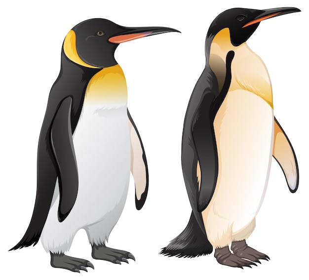 Vector gratuito conjunto de pingüinos en diferentes especies.