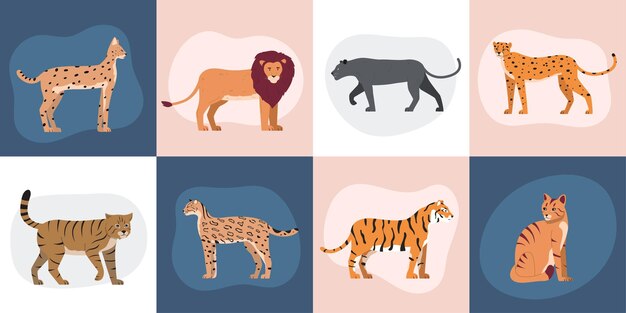 Conjunto plano de gatos salvajes de composiciones cuadradas con imágenes aisladas de estilo garabato de animales felinos salvajes ilustración vectorial