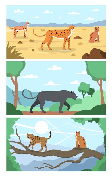 Conjunto plano de gatos salvajes de tres composiciones horizontales con paisajes tropicales y felinos en la ilustración de vector de hábitat natural