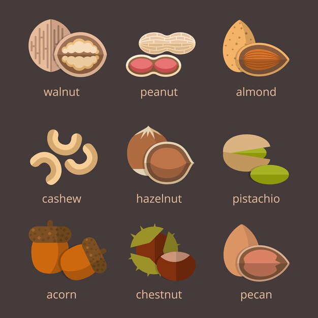 Conjunto plano de icono de nueces. Alimentos orgánicos, nutrición natural avellana y bellota.