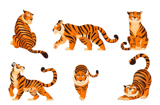 Conjunto plano de lindos tigres en varias poses aisladas en la ilustración de vector de fondo blanco