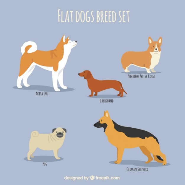 Vector gratuito conjunto plano de razas de perro