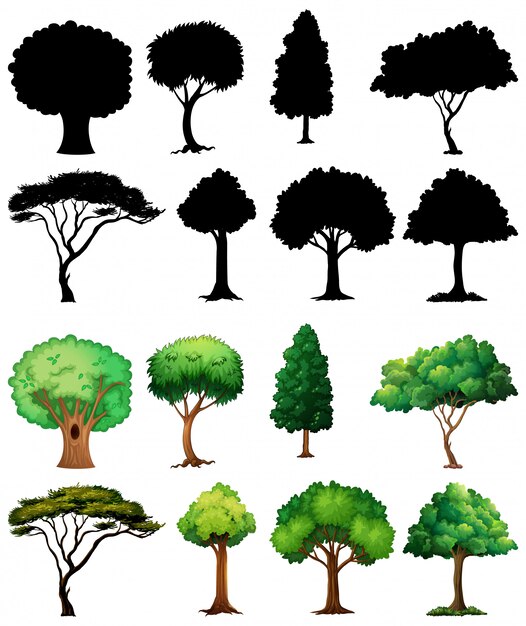 Conjunto de planta y árbol con su silueta