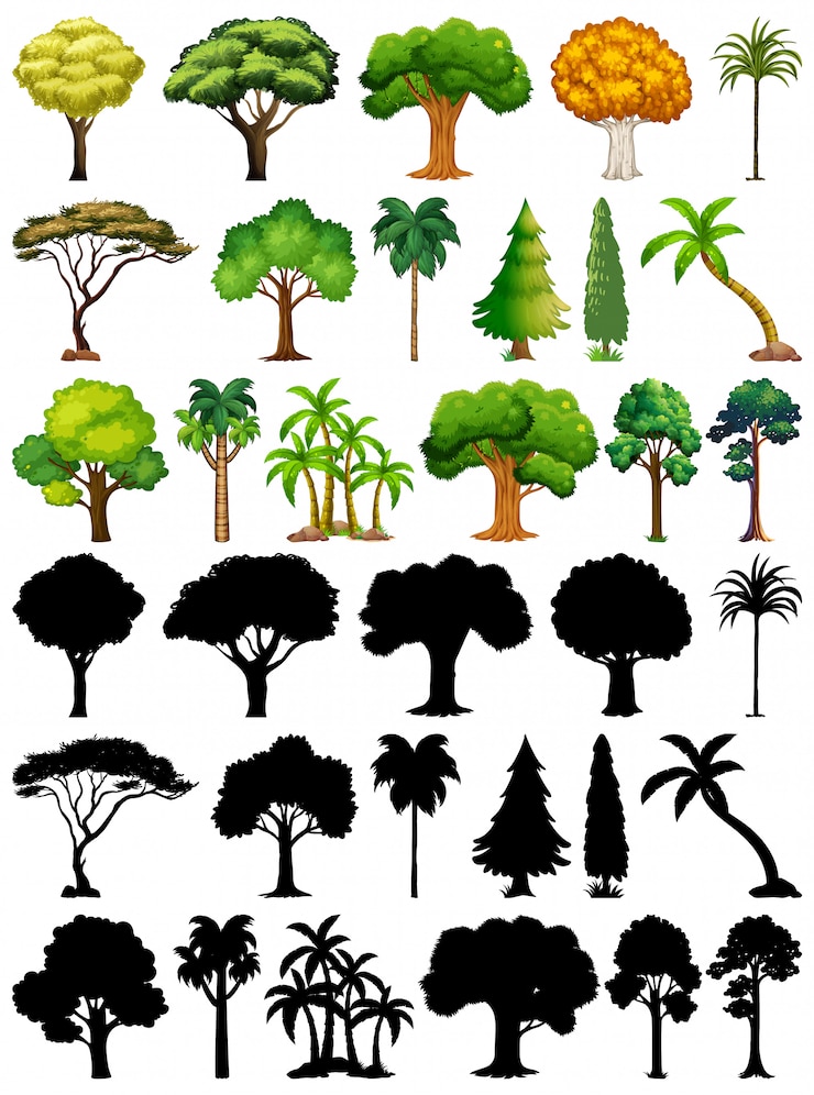 Vector gratuito conjunto de planta y árbol con su silueta