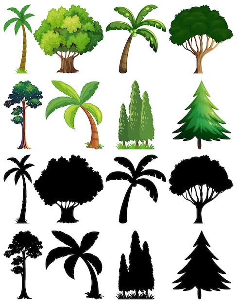 Vector gratuito conjunto de planta y árbol con su silueta.