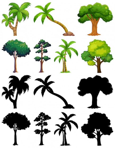 Vector gratuito conjunto de planta y árbol con su silueta.