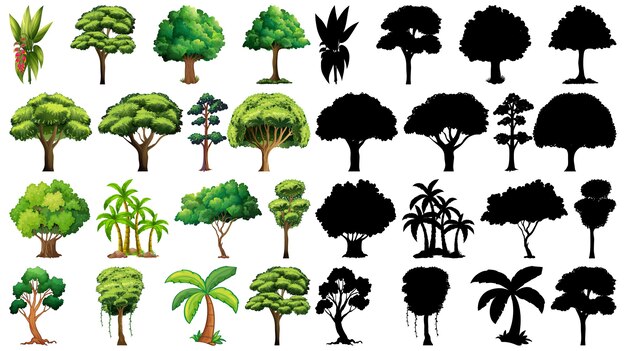 Conjunto de planta y árbol con su silueta.