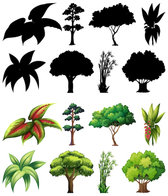 Vector gratuito conjunto de planta y árbol con su silueta.