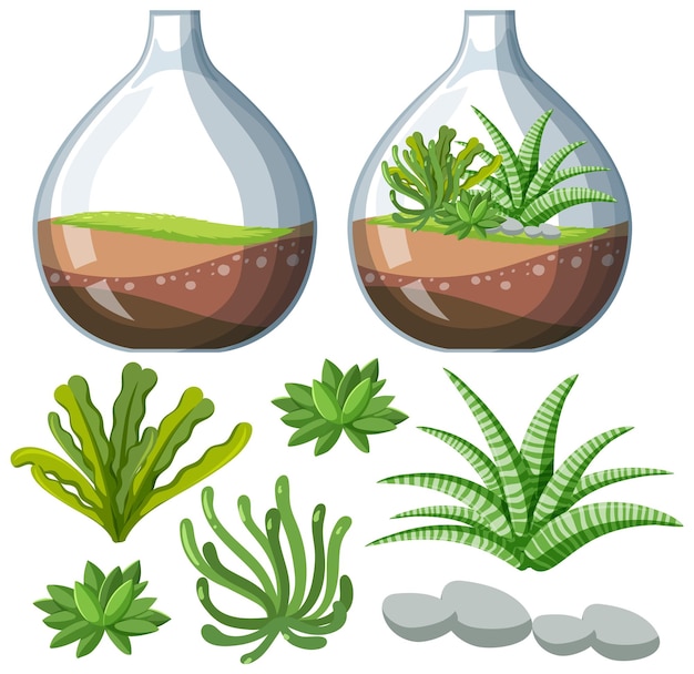 Vector gratuito conjunto de planta de terrario en tarro