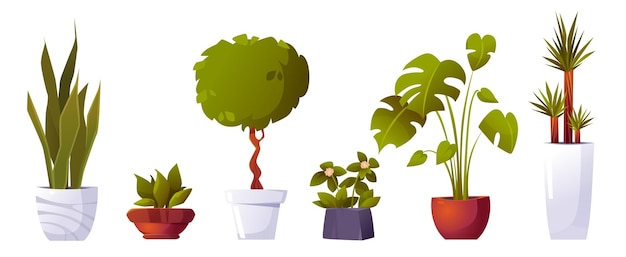 Conjunto de plantas y árboles en macetas caseras en macetas